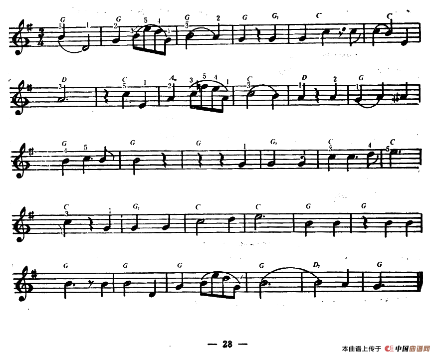 你好象一朵鲜花