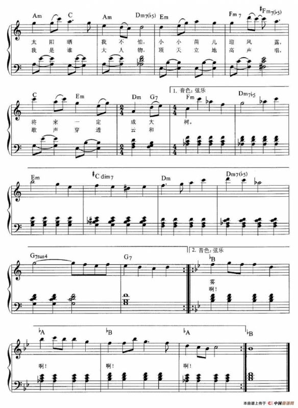 雾里的小花（弹唱谱）