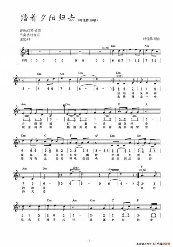 踏着夕阳归去（线简混排弹唱谱）