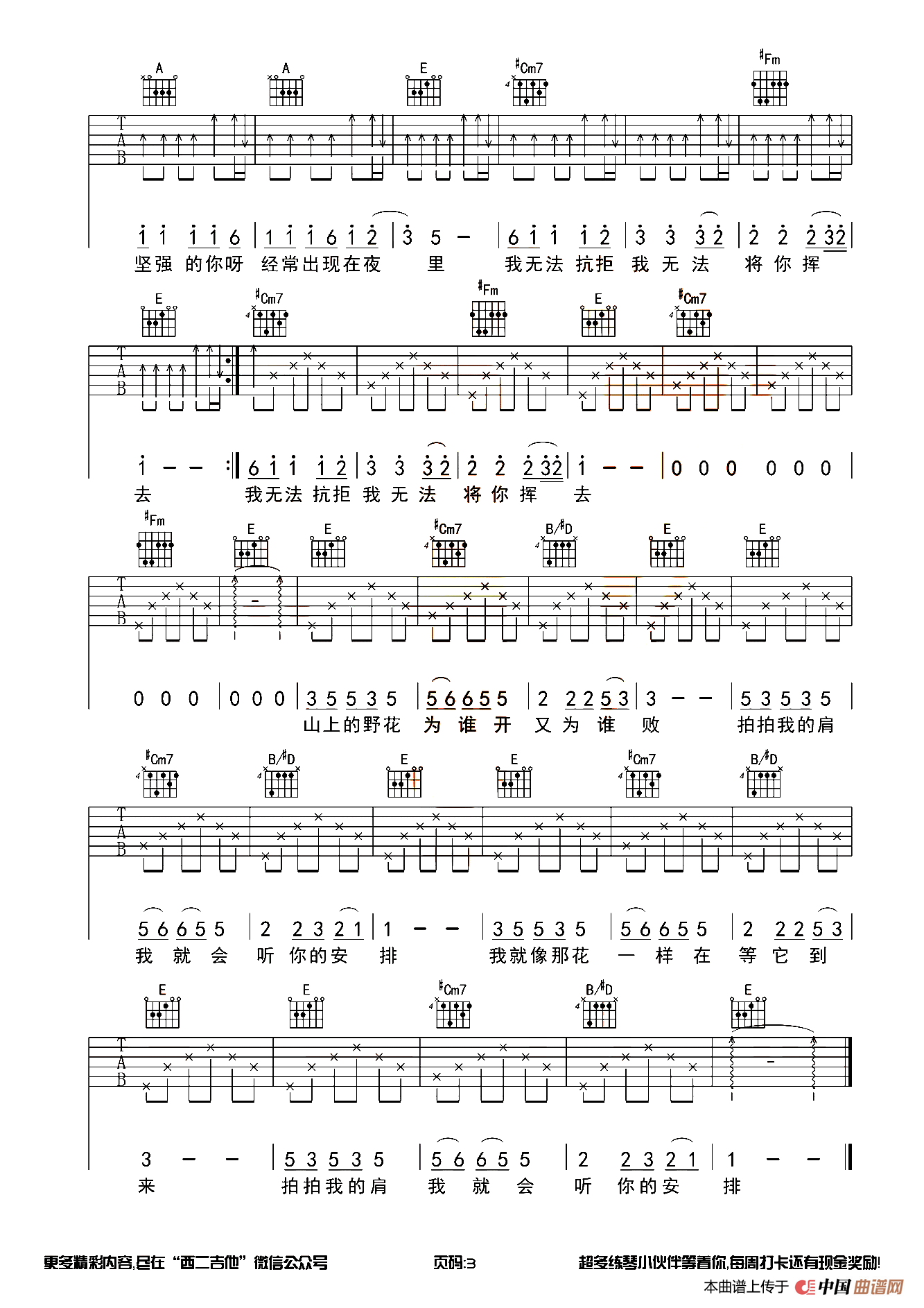 野花（西二吉他编配版）
