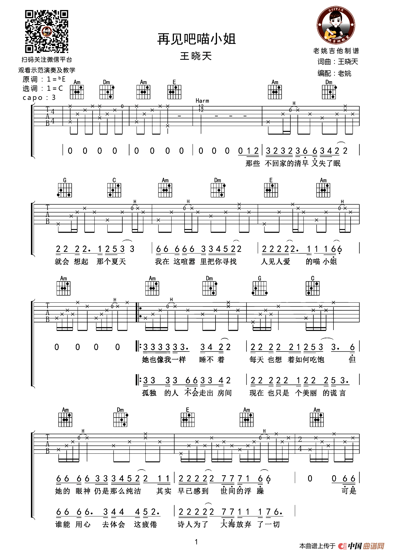 再见吧喵小姐（老姚吉他编配版）