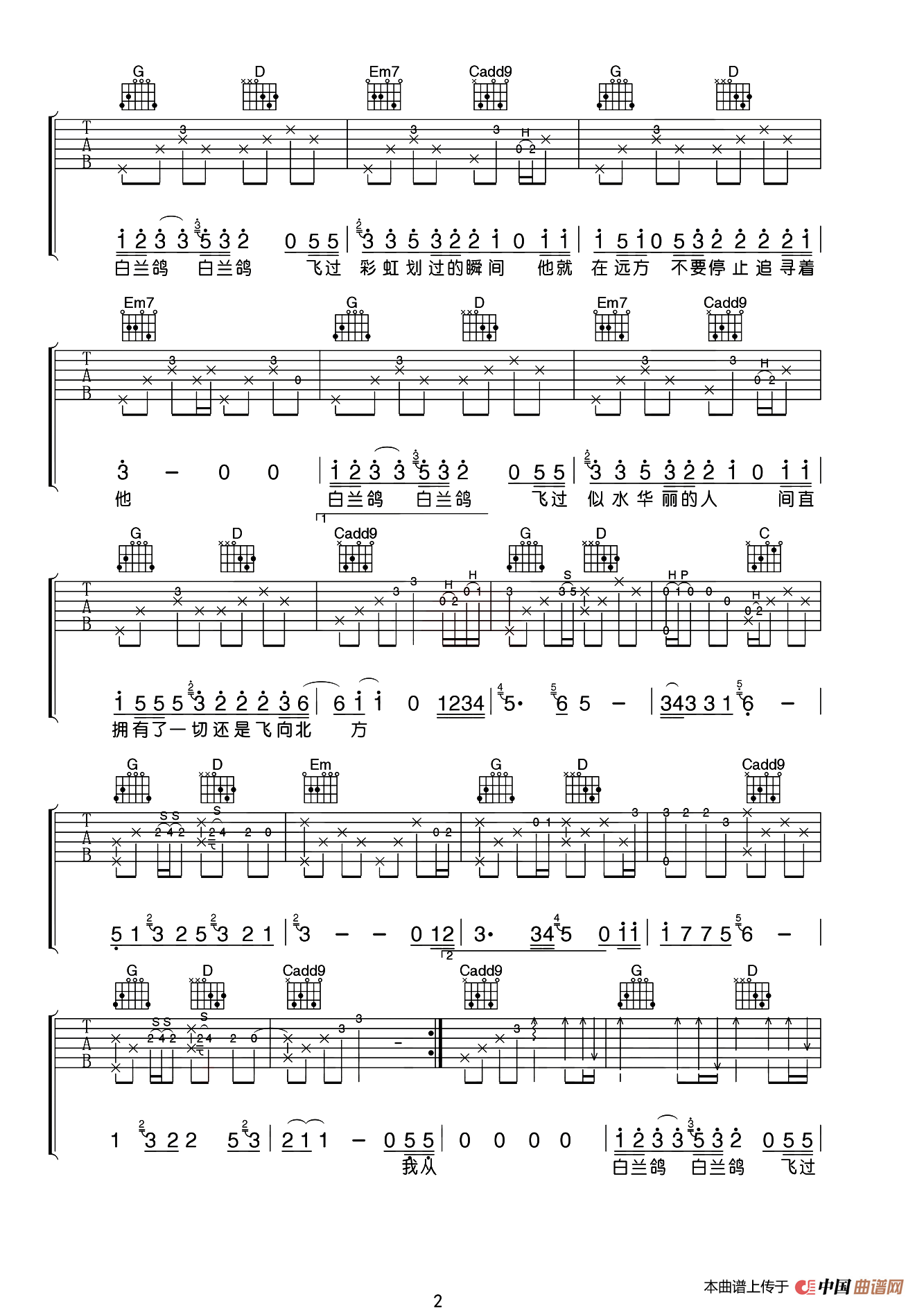 白兰鸽巡游记（小磊吉他教室编配版）