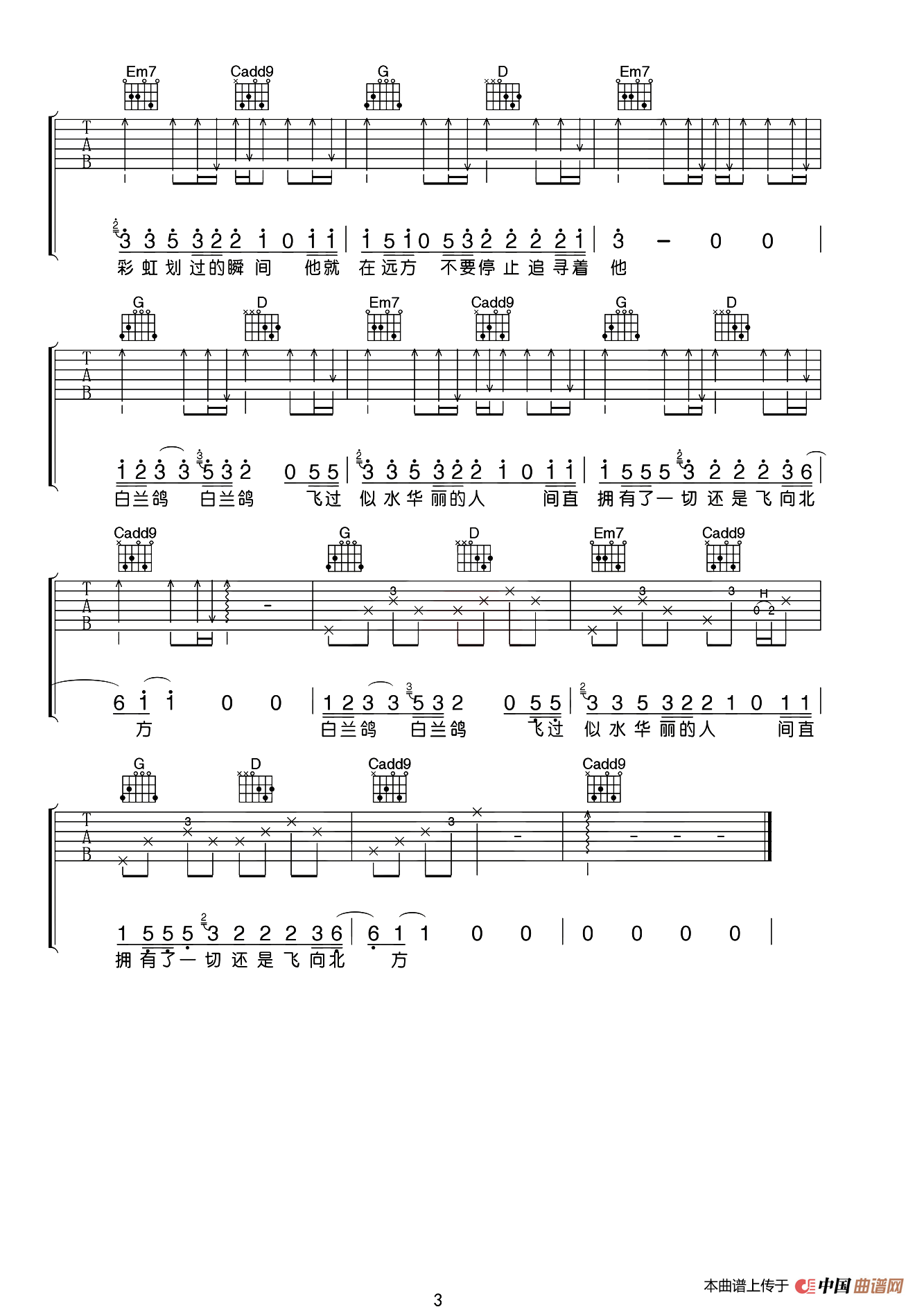 白兰鸽巡游记（小磊吉他教室编配版）