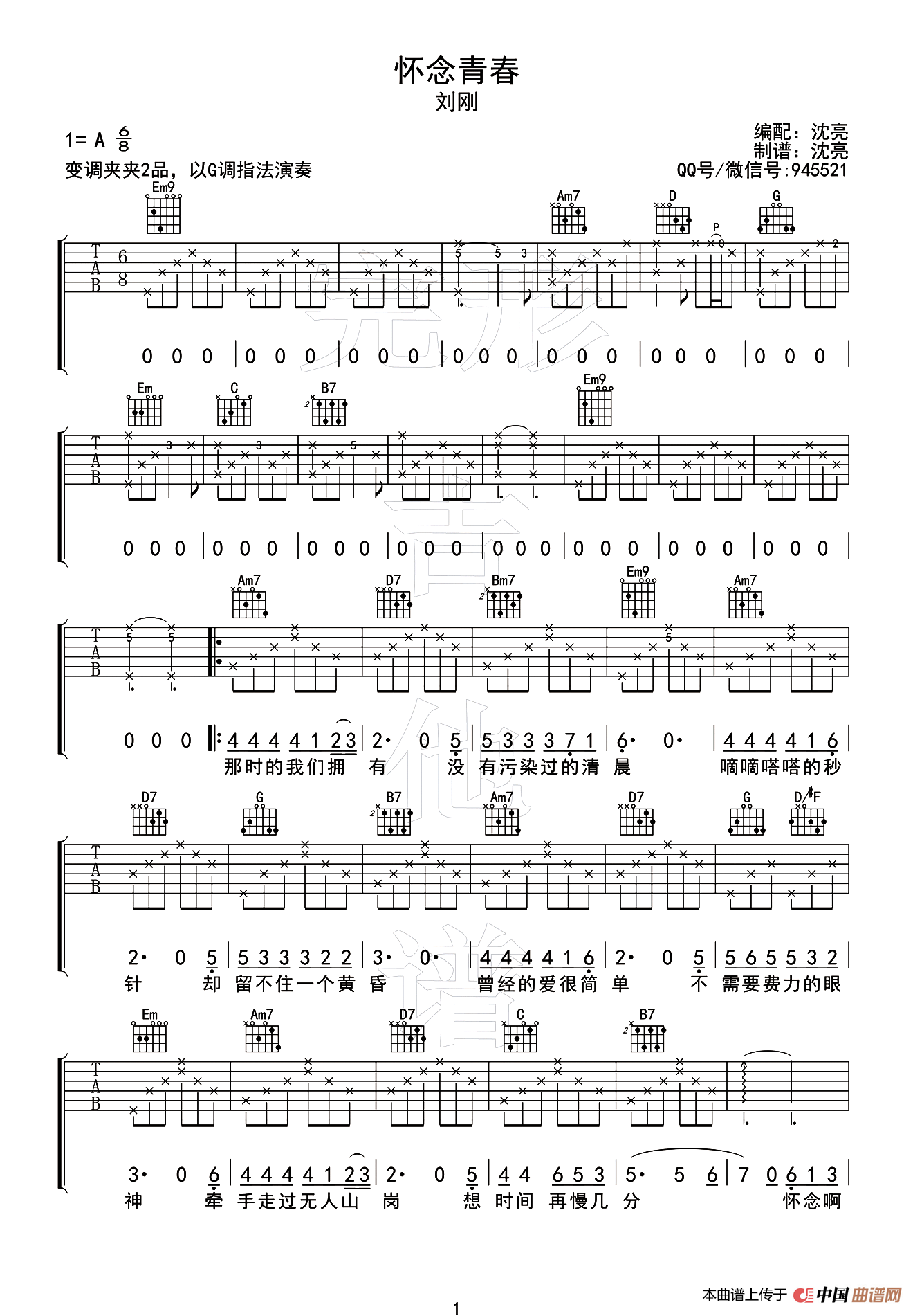 怀念青春（沈亮编配版）