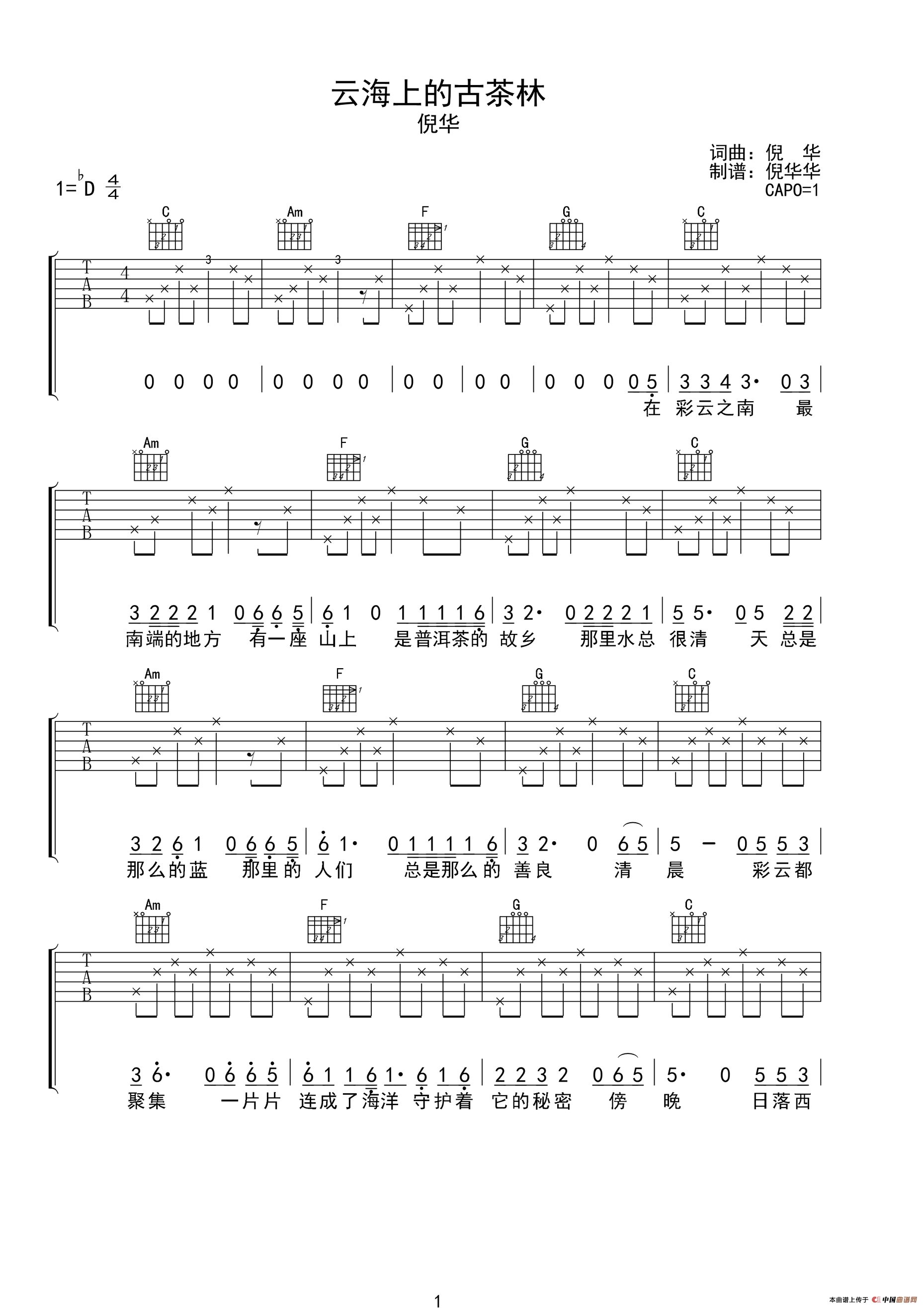 云海上的古茶林