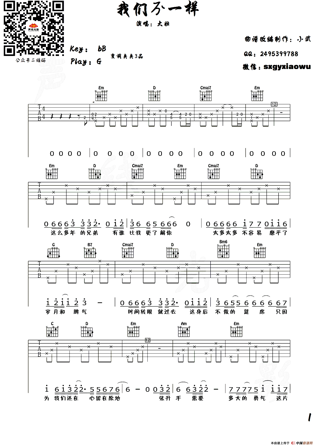 我们不一样（小武改编制谱版）