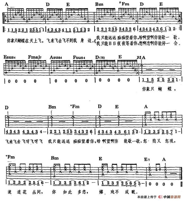 民族吉他弹唱：美丽的花蝴蝶