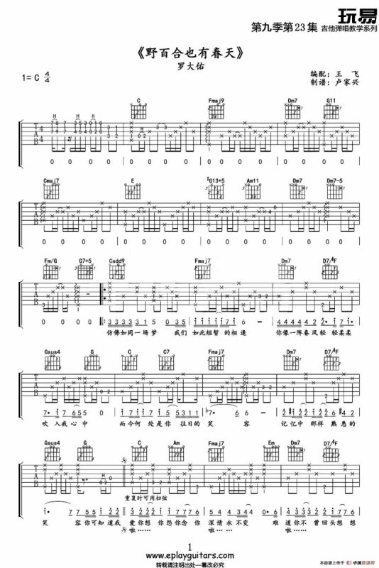 野百合也有春天（王飞编配版）