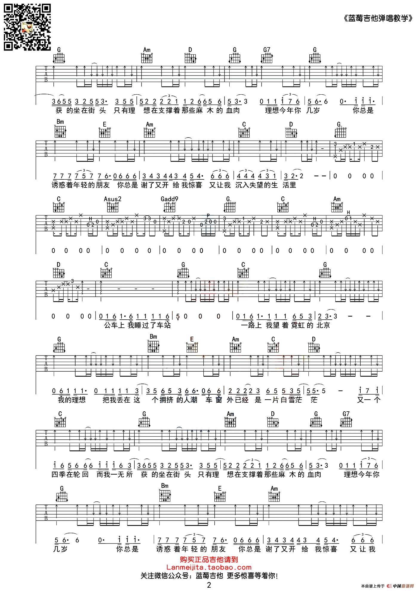 理想（赵磊词曲、蓝莓吉他版）