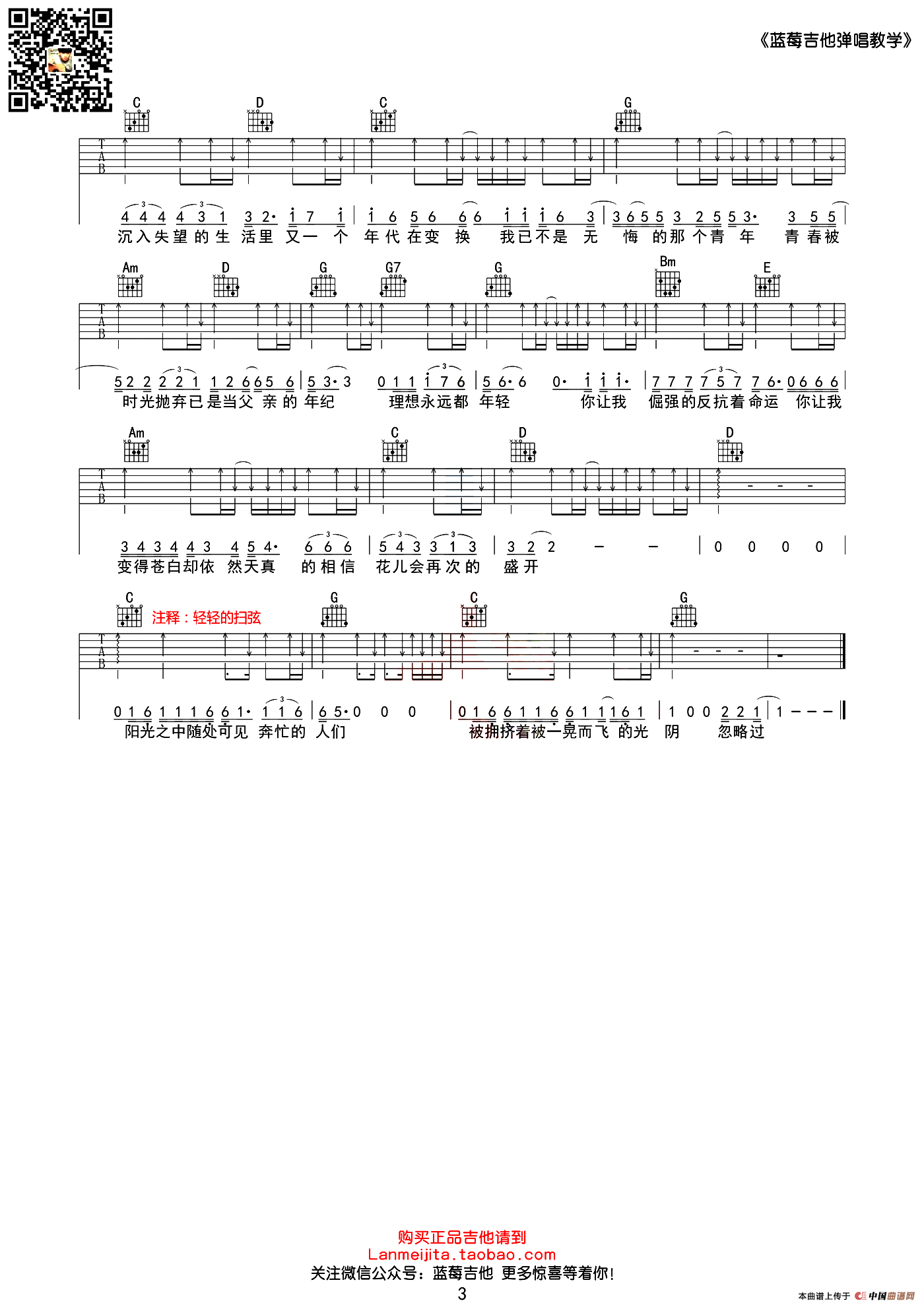 理想（赵磊词曲、蓝莓吉他版）