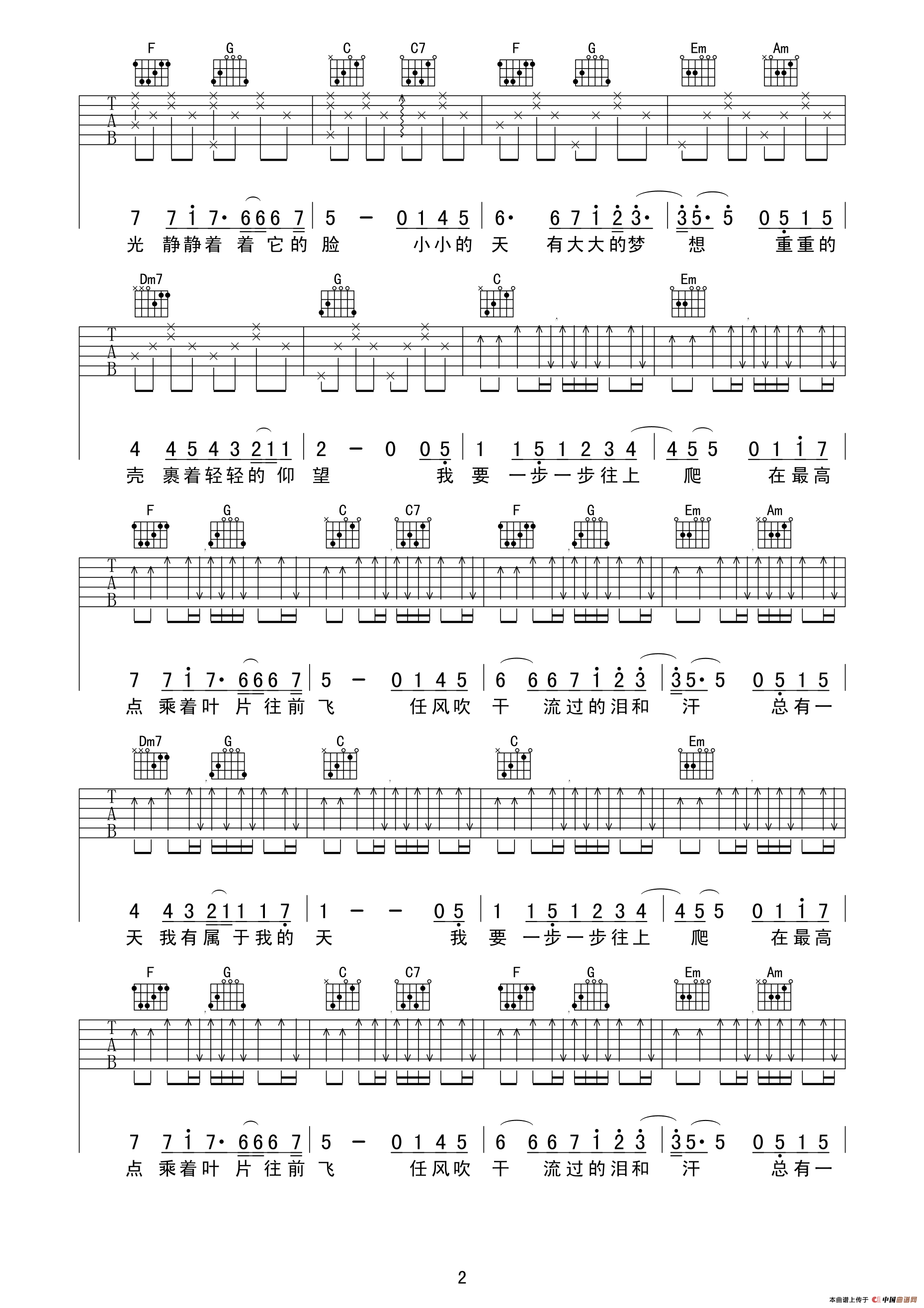 蜗牛（又又吉他编配版）