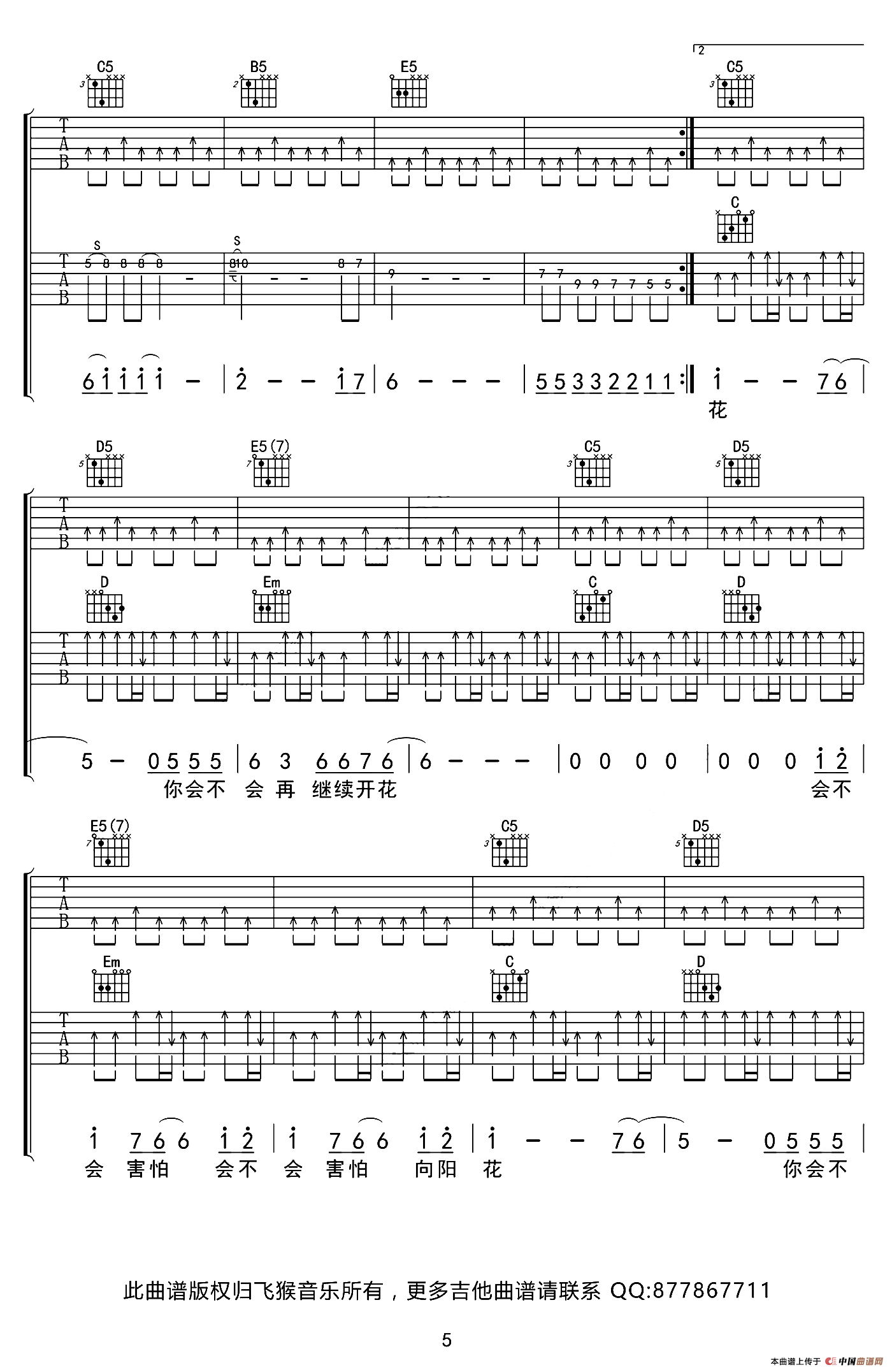 向阳花（G调双吉他版）