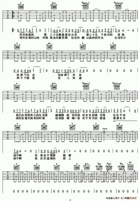 鸽子（宋冬野 词曲）