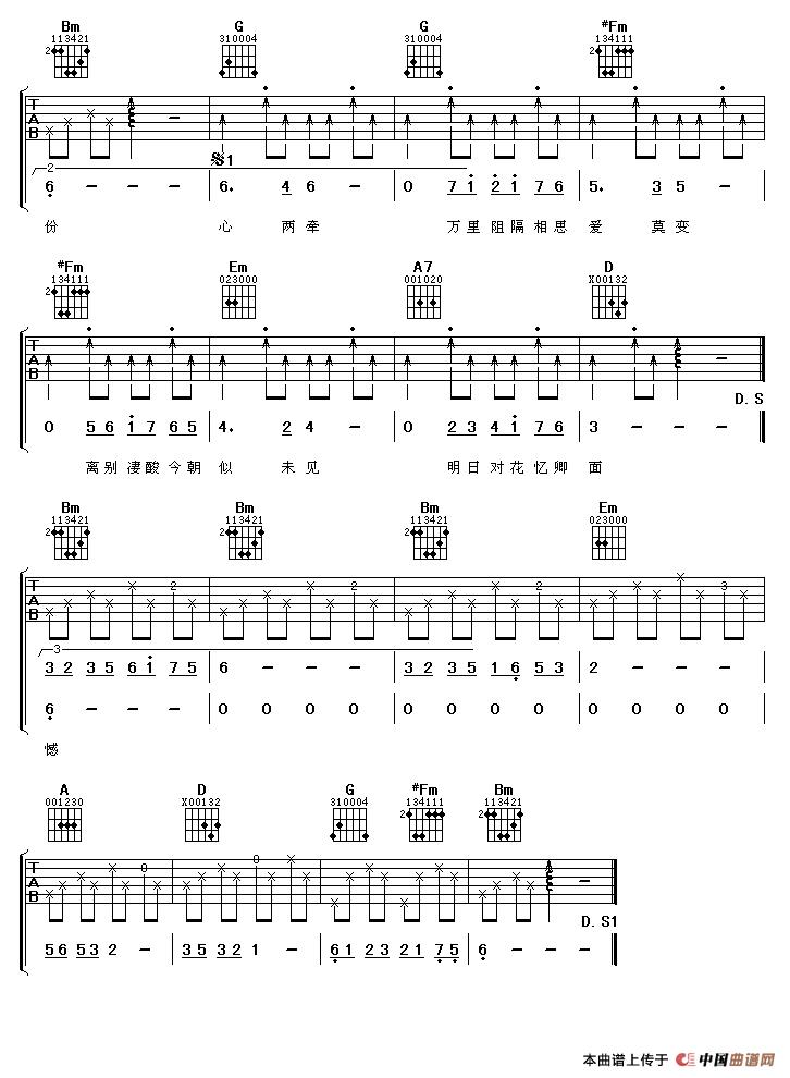 双星情歌（阿潘编配版）