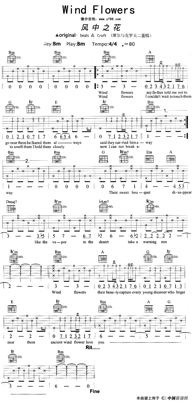 风中之花（Wind Flowers）