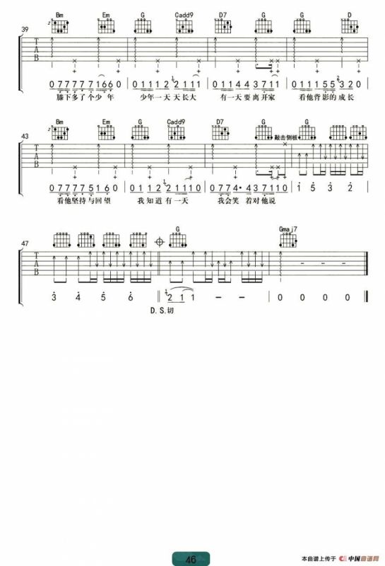 生活不止眼前的苟且（杨鑫编配版）