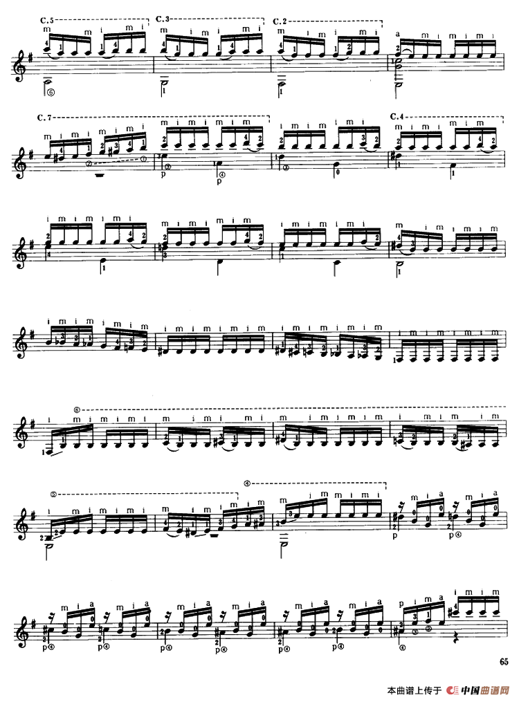 蜂鸟（古典吉他）