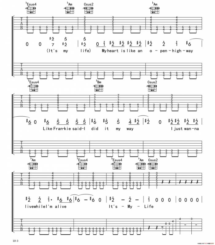 Its my life（电吉他 双吉他版）