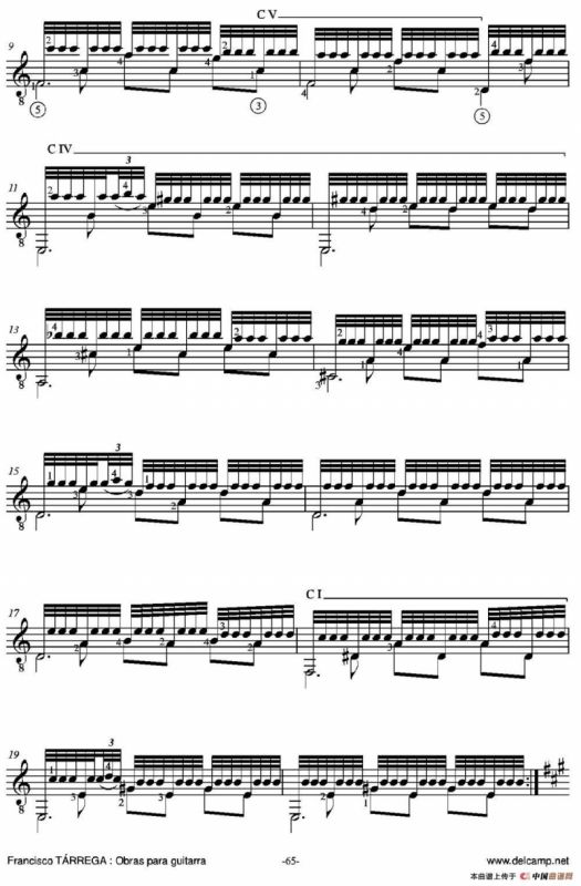 RECUERDOS DE LA ALHAMBRA(Hommage a Ieminent artiste Alfed Cottin)（古典吉他）