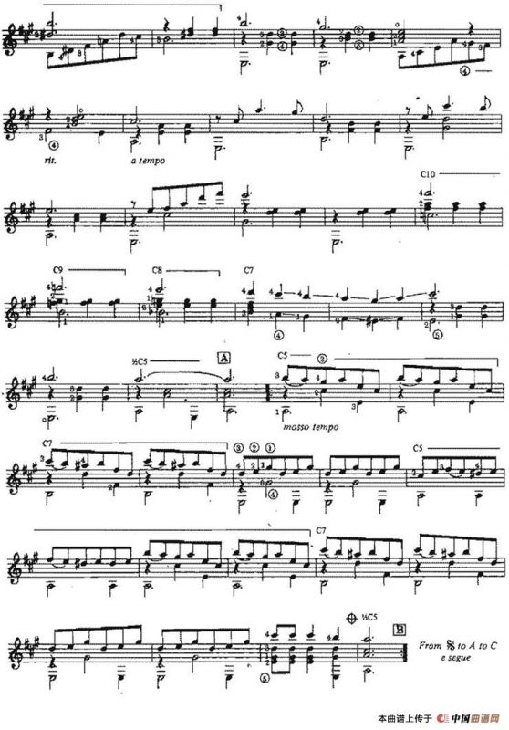 Pepita（古典吉他）