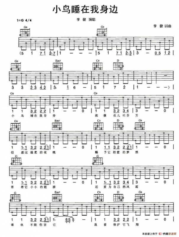 小鸟睡在我身边