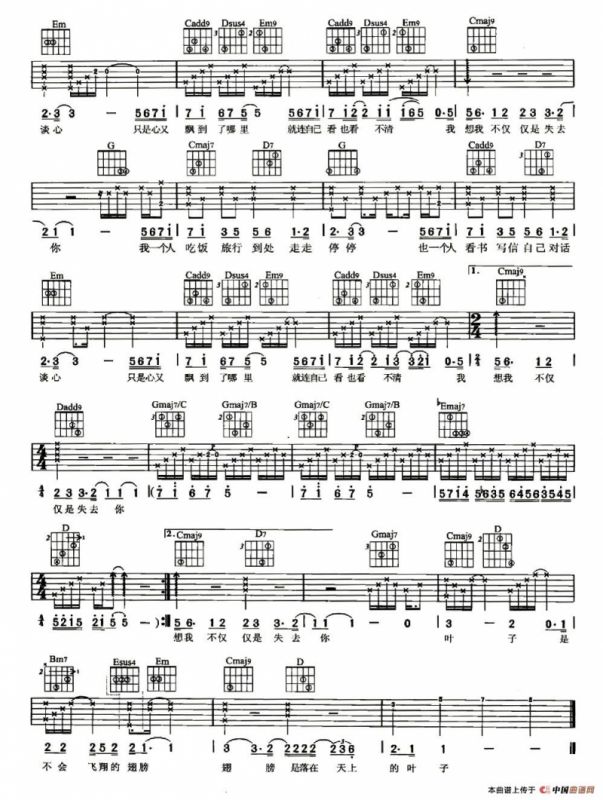 叶子（陈晓娟词曲）