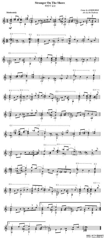 stranger on the shore（岸边的陌生人）