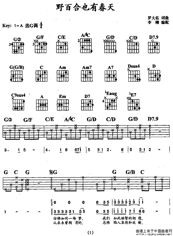 野百合也有春天（李刚编配版）