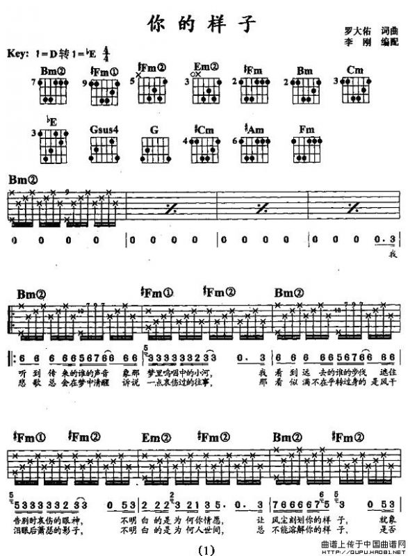 你的样子（李钢编配版）