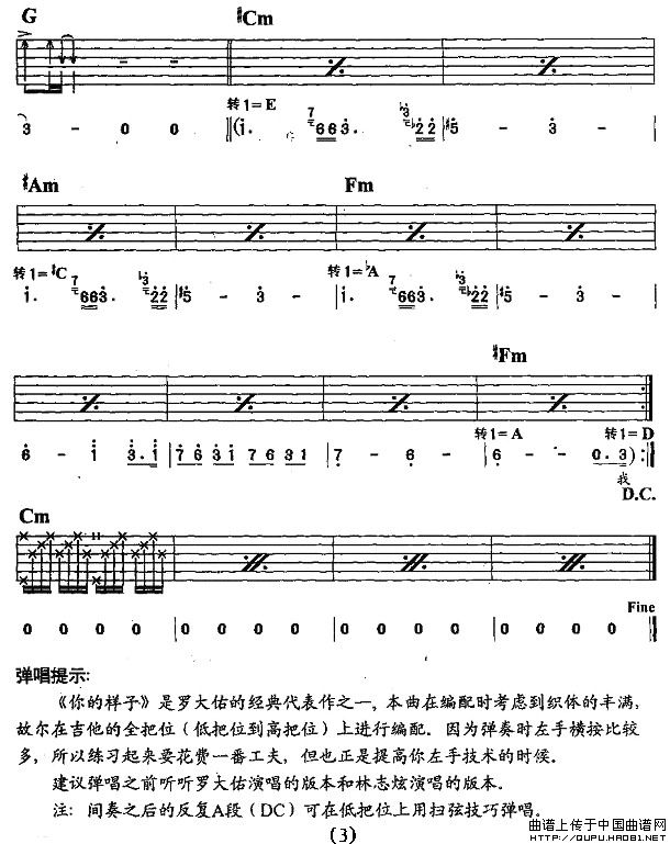 你的样子（李钢编配版）