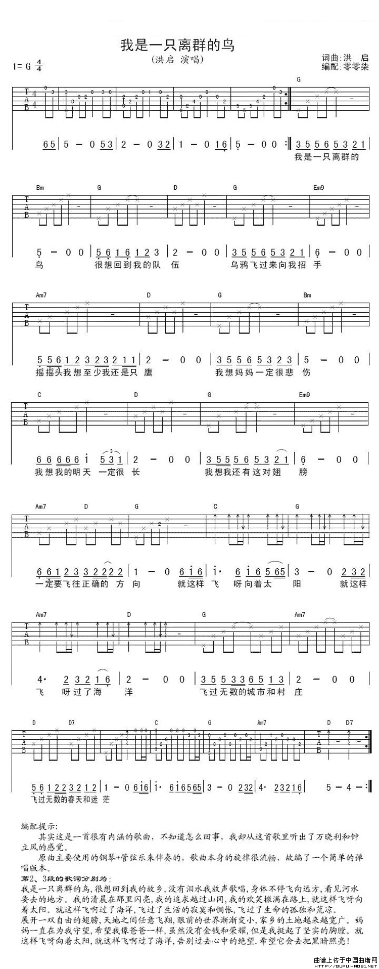 我是一只离群的鸟