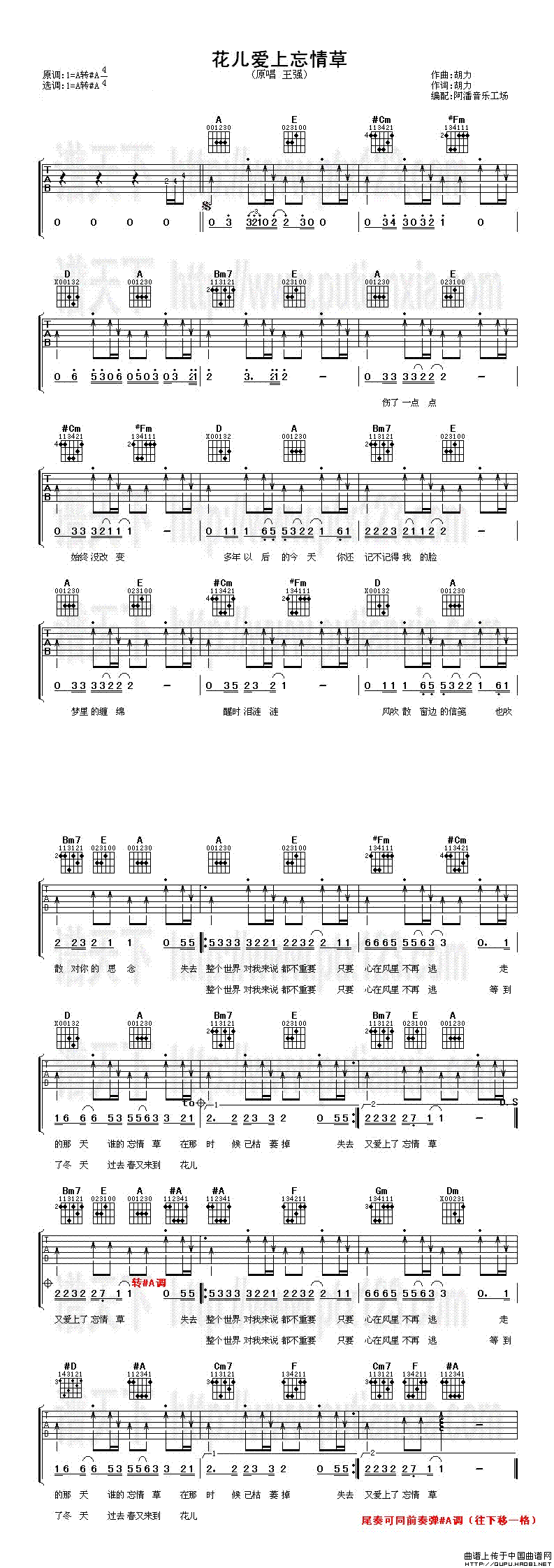 花儿爱上忘情草