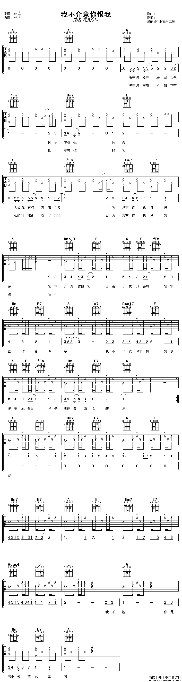 我不介意你恨我（阿潘编配版）