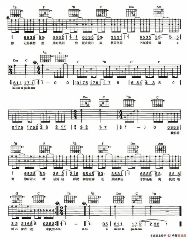 天天天天说爱你