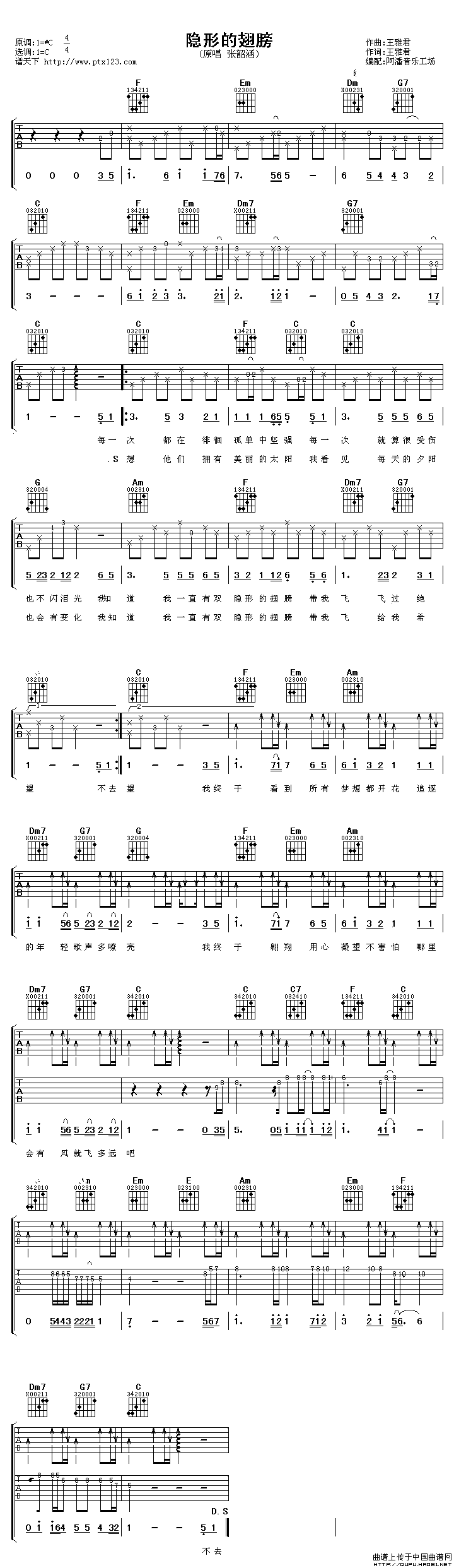 隐形的翅膀（阿潘编配版）