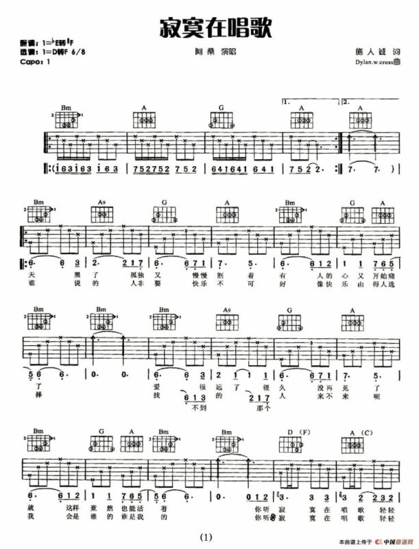 寂寞在唱歌（施人诚词）