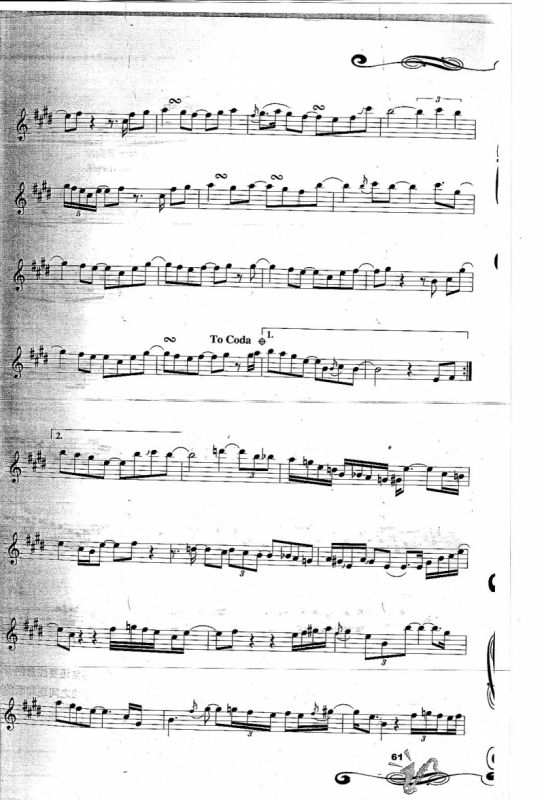 The Joy Of Lire 生之歌