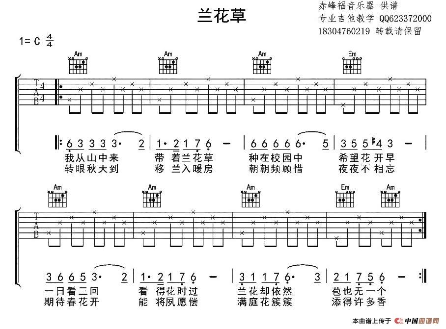 兰花草（7个版本）