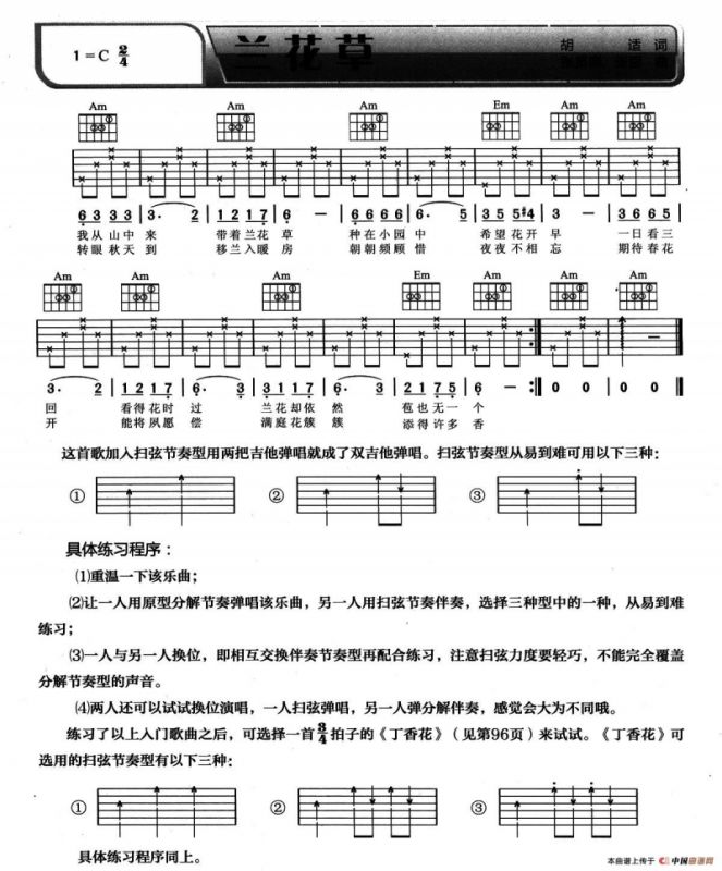 兰花草（7个版本）