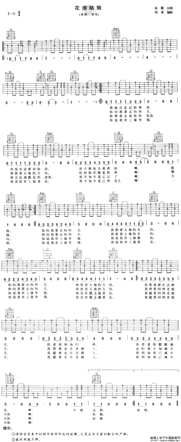 花房姑娘（崔健词曲、郑健编配版）