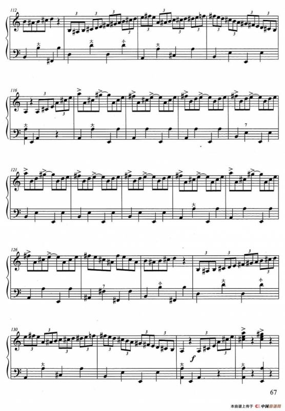 TICO TICO（哥斯达黎加人）