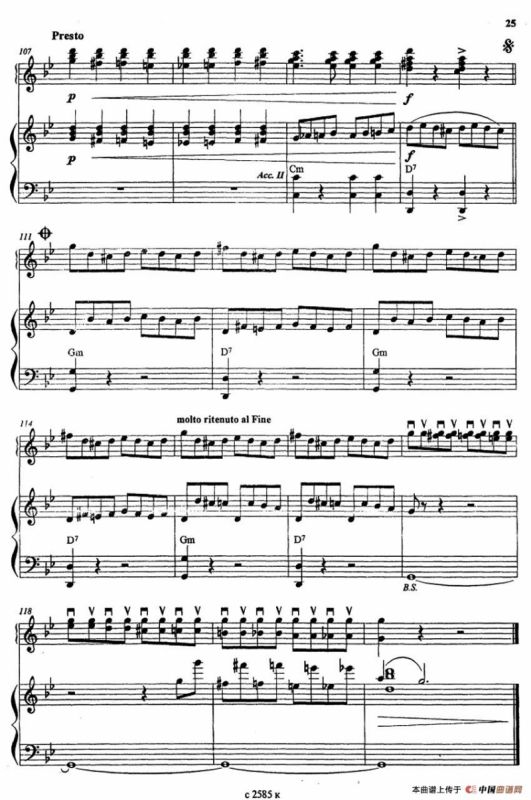 旋转木马（二重奏）