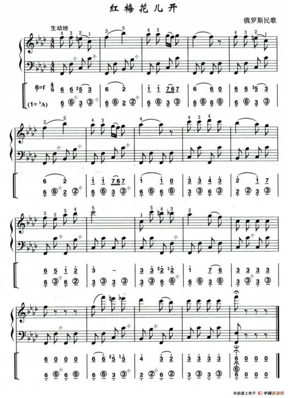 红莓花儿开（俄罗斯民歌）（线简谱混排版）