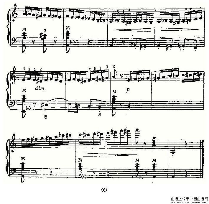 野蜂飞舞（俄罗斯原版谱）