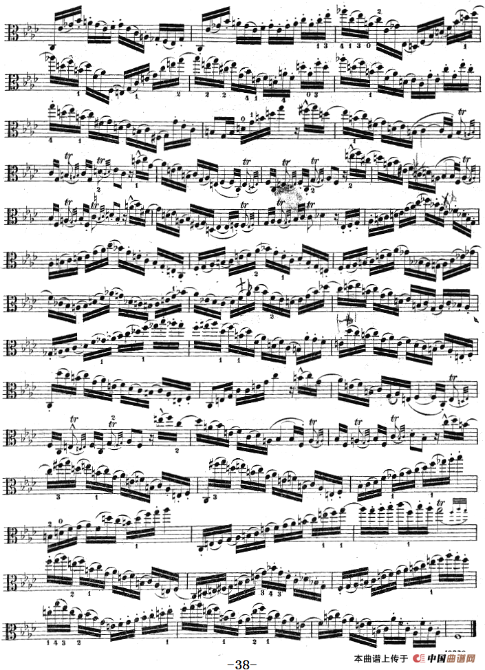 克莱采尔《中提琴练习曲40首》（ETUDE 27-29）