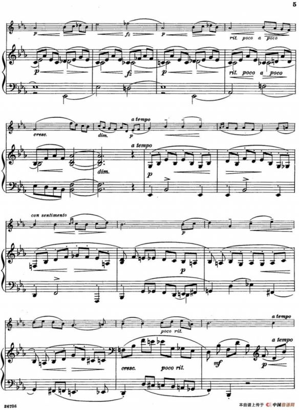 Nuit de Mai（小提琴+钢琴伴奏）