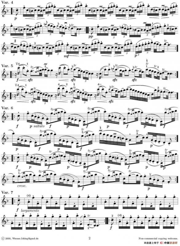 Lart de larchet（弓的艺术）