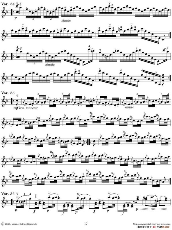 Lart de larchet（弓的艺术）