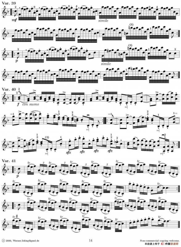 Lart de larchet（弓的艺术）