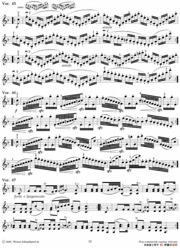 Lart de larchet（弓的艺术）